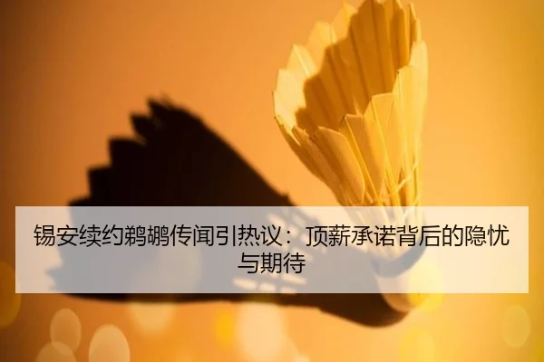锡安续约鹈鹕传闻引热议：顶薪承诺背后的隐忧与期待